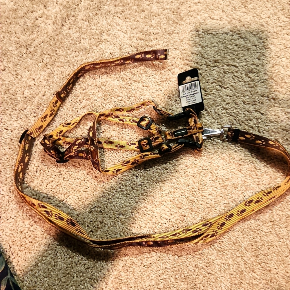 Dog harness and matching lead